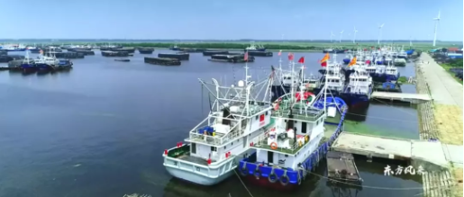 集團(tuán)全力助推南通外向型農(nóng)業(yè)綜合開發(fā)區(qū)委托招商引資，打造現(xiàn)代化專業(yè)食品園區(qū)