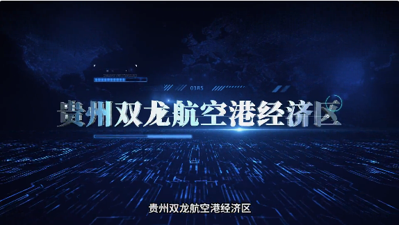 集團(tuán)全力助推貴州雙龍航空港經(jīng)濟(jì)區(qū)委托招商引資，搶占發(fā)展先機(jī)，打造開放經(jīng)濟(jì)新高地